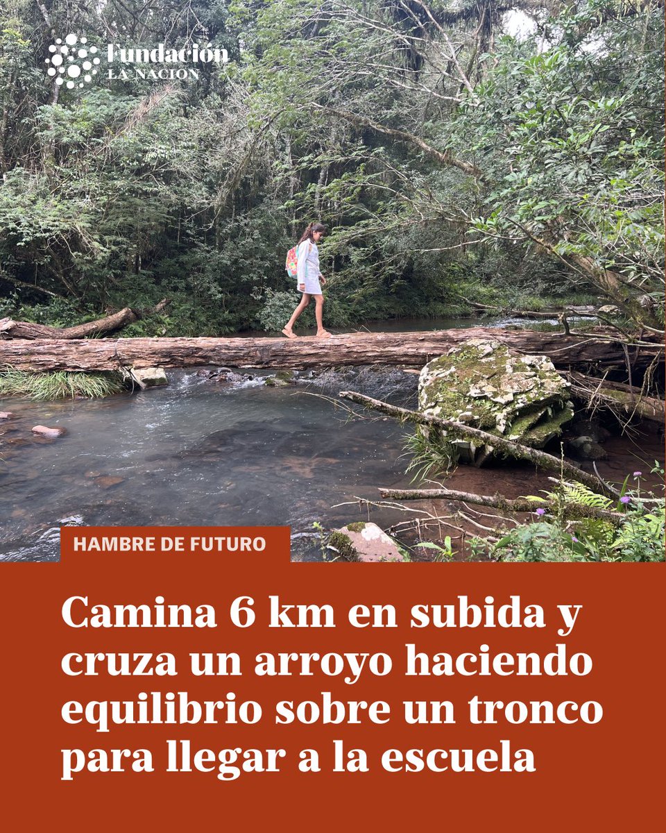 LANACION's tweet photo. Cuando llueve y el arroyo se desborda, Antonela Carvallo, que tiene 12 años y vive en el corazón de la selva misionera, no puede ir a la escuela. “Me pasó de caerme”, cuenta.

Leé la nota completa y enterate cómo podés ayudarla acá: https://t.co/G9fU2p4VfJ

#hambredefuturo https://t.co/EOvQmlm7eK