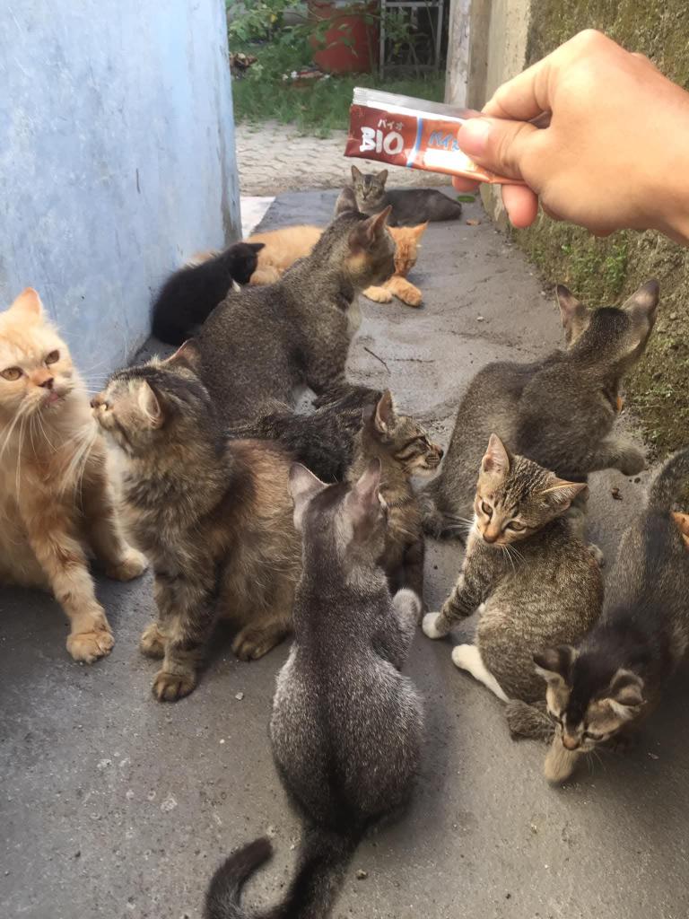 Kokojedring's tweet photo. Kalian boleh nakal, ngapain aja boleh sesuka kalian, cuma aku minta jangan hilang yaa dan jangan dulu meninggal ninggalin aku🤜😕 https://t.co/Jl7MXEAUPY
