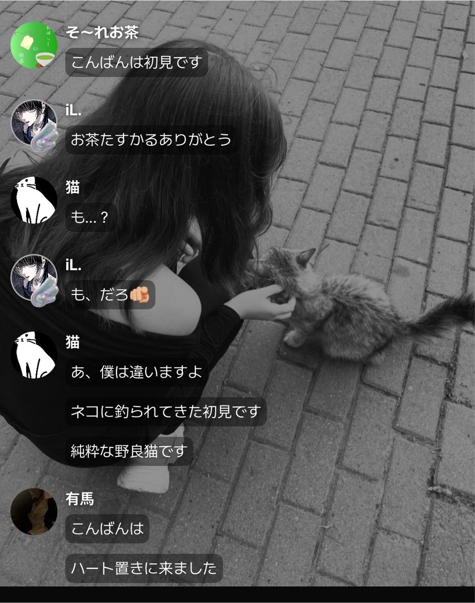 low_____il's tweet photo. お茶、猫、有馬くん
シェア♡ありがとう🫶たすかりました https://t.co/ZS2xASU3bN