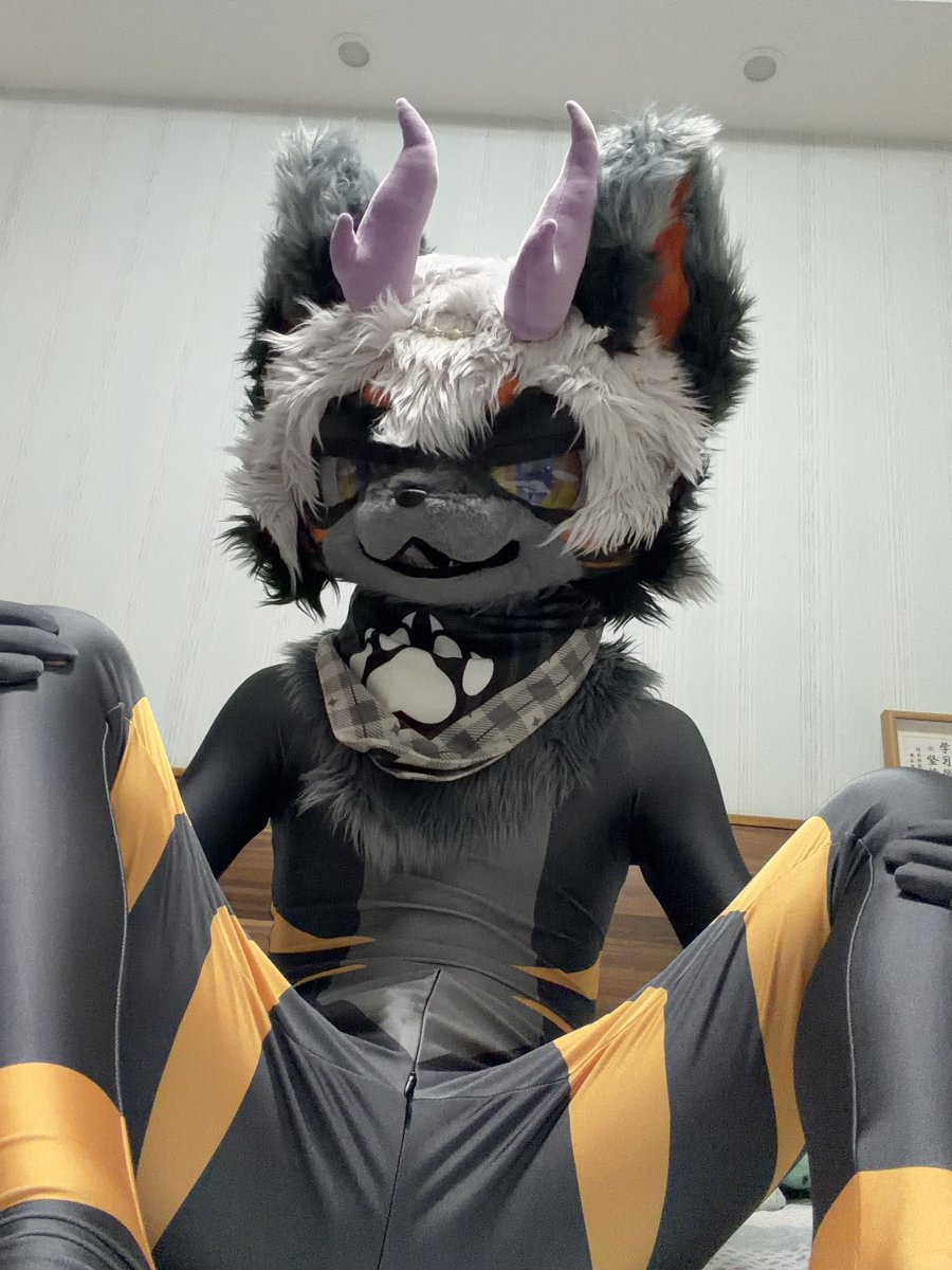 Dwdd211985's tweet photo. zen到了，第一件事当然是拍照啦！
#xst #furry  #zen https://t.co/a7fIUshSPY