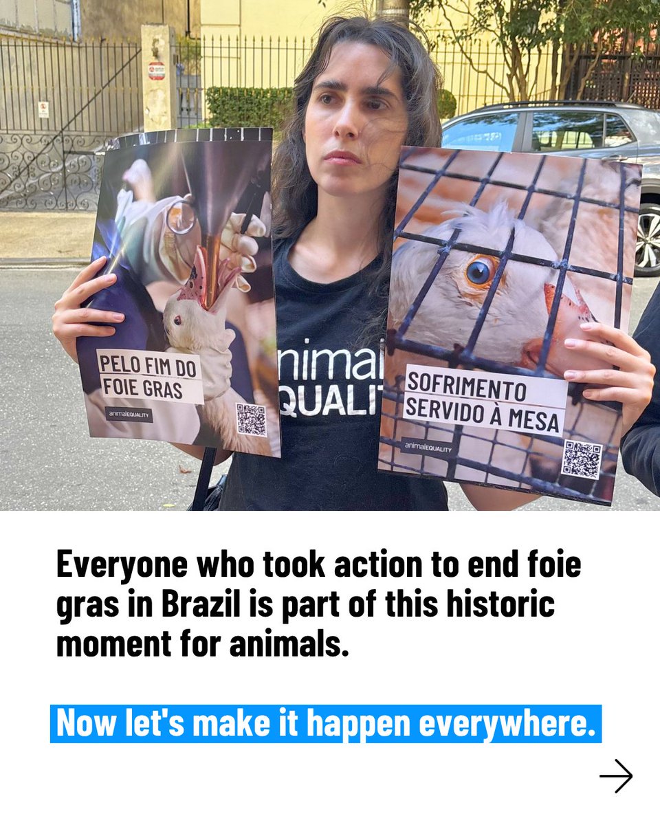 Animal Equality tweet media