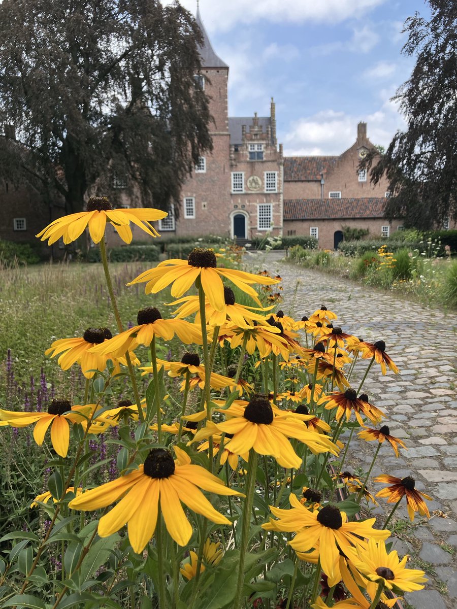 BeautifulGarde1's tweet photo. Sint catharinadal #oosterhout #zomerfotografie🌼🌸🦋 https://t.co/GCn1Dj2DTZ