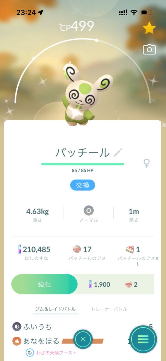 ed5vow's tweet photo. @FAIRLYKING55 ff外から失礼します。
この子とメレシーの交換は大丈夫ですか？ https://t.co/I9EEo2BPLi