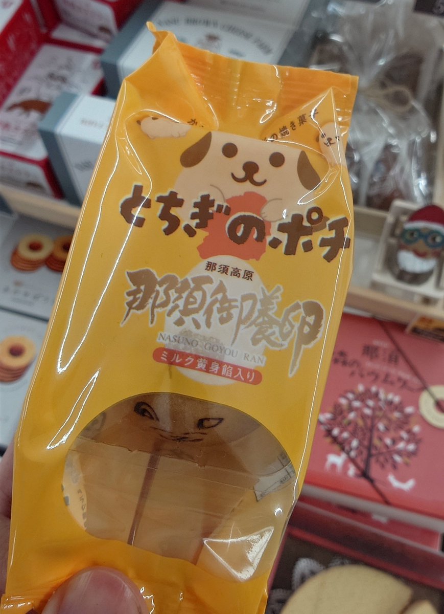 AlajimaNoko's tweet photo. 画風がどことなくあの人に似てるよなぁとか思ってたら商品名でモロ名前出ててしんどいwwwwwwww https://t.co/xLjHGDXP15