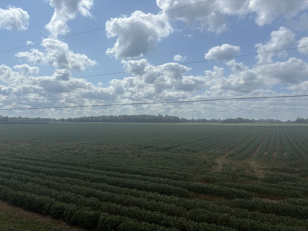 jasonmauck1's tweet photo. @Farmin4Ganja Here a video from this spring planting beans with the Hiniker https://t.co/HFydYVDQTa