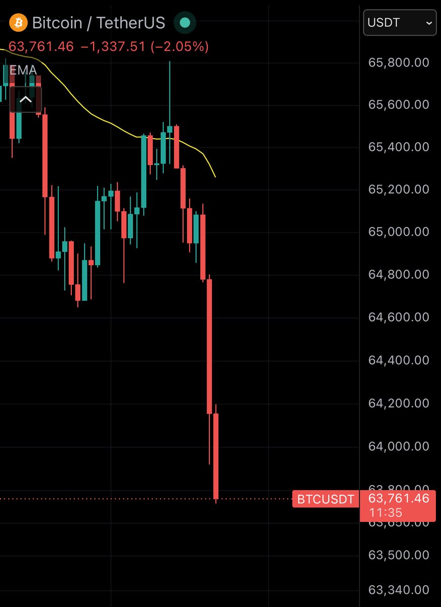 Bitbull tweet media