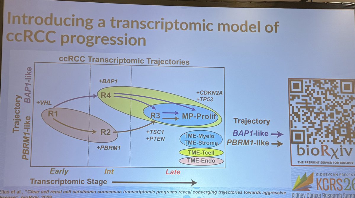 Katy Beckermann (@katy_beckermann) — KCRS26 slide 1 of 3