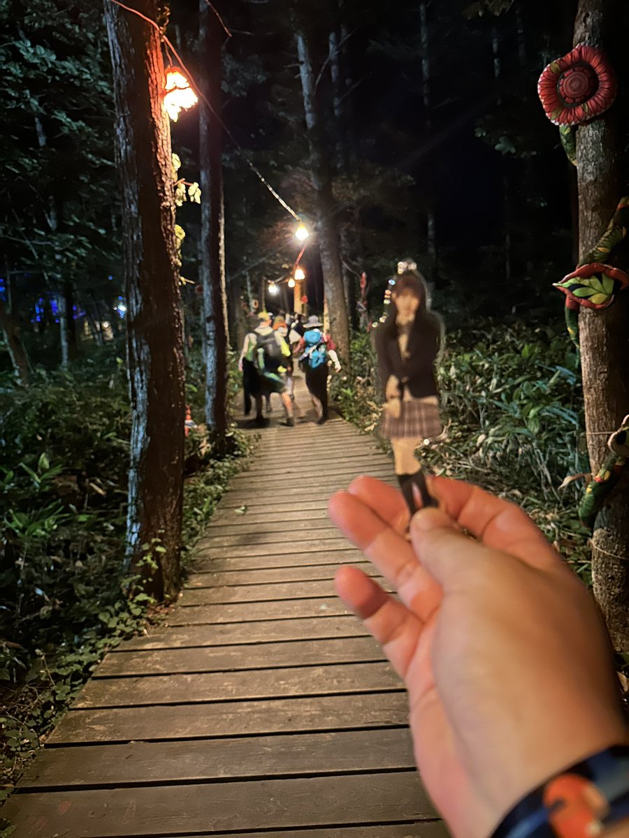 masa_tom5575's tweet photo. フジロック夜も楽しいよゆいゆい（ピンポケ）
来週はTIFだー
レギュレーションから確認しなくては https://t.co/942LiX4a3J