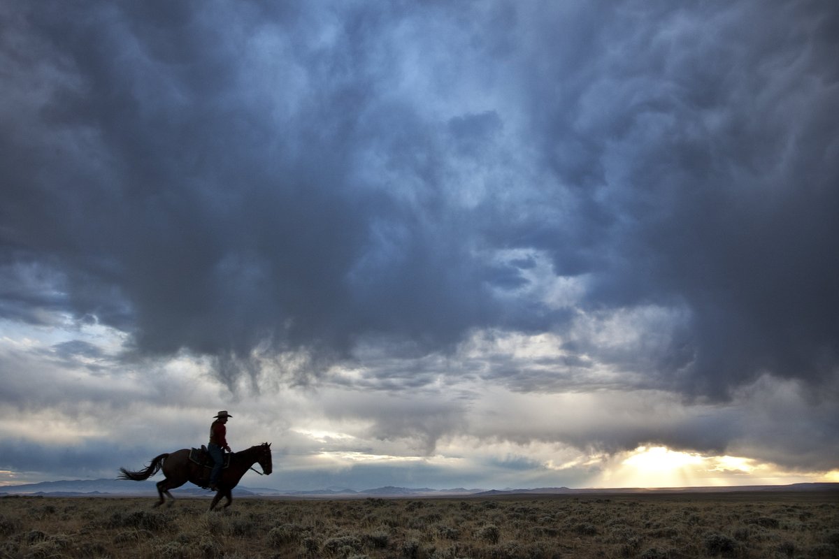 BLMWyoming's tweet photo. We’re tipping our hats to the history that shaped the West for Day of the Cowboy tomorrow. Four famous National Historic Trails all ride the same corridor through Wyoming, looking almost the same as when wagons rolled across these wide-open spaces ➡️ https://t.co/3ihVF5AhLr https://t.co/kRjFecO7Su