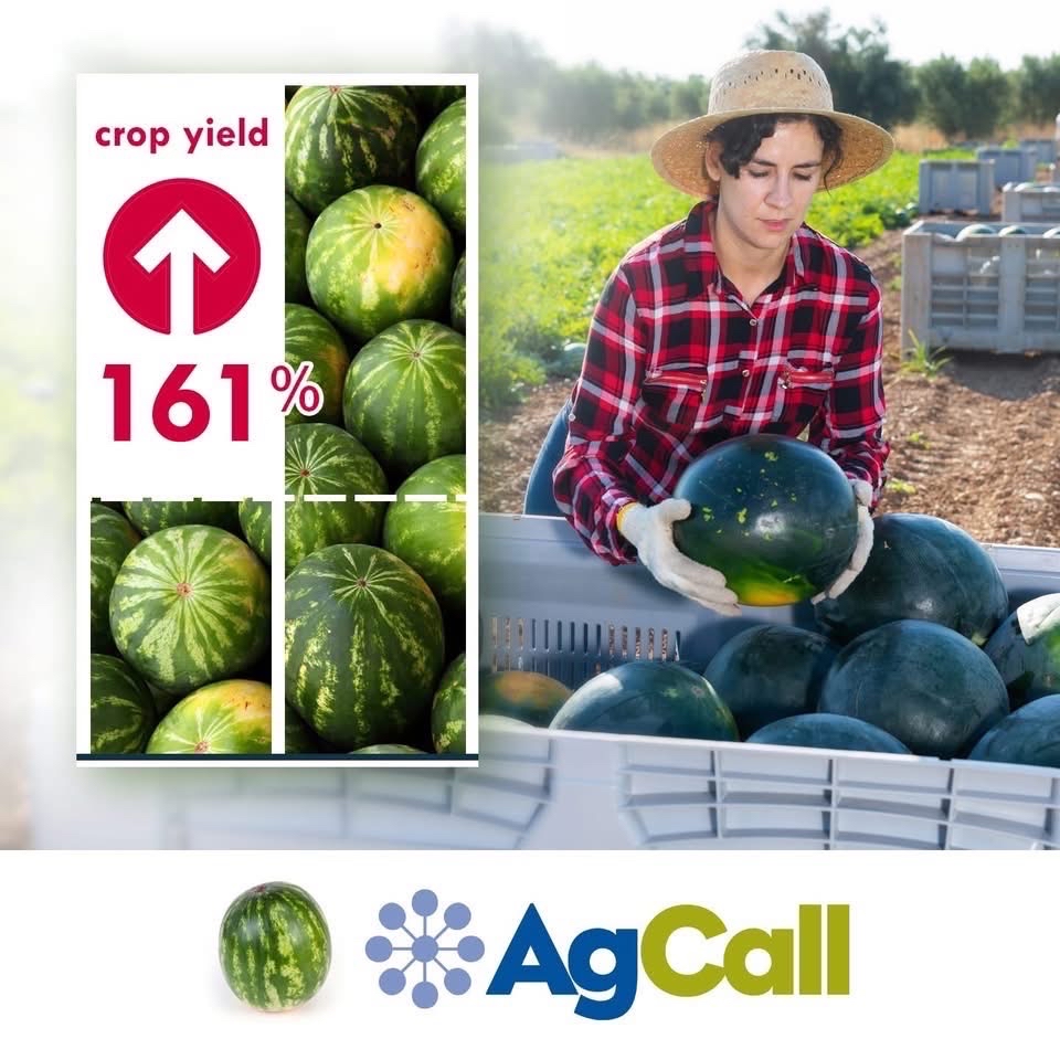 AgCall's tweet photo. Outside-the-box thinking by an AgCall Associate on a recent demo plot program for one of our clients resulted in a 161% increase in crop yield. That’s real-world ROI, and the level of expertise AgCall Associates can bring to your next plot program. https://t.co/UEljYZjSkZ https://t.co/Y2GXD018wE