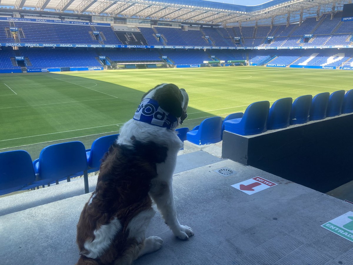 ManuSanchez04's tweet photo. El @RCDeportivo ha suprimido para esta temporada quizás su proyecto no deportivo más bonito
El carnet de Mascota Deportivista
A Oso le queda el recuerdo de su visita a Riazor y ser el primer perro socio del Dépor
Muchas gracias a los que lo hicisteis posible en su momento! https://t.co/r9lXPruErg