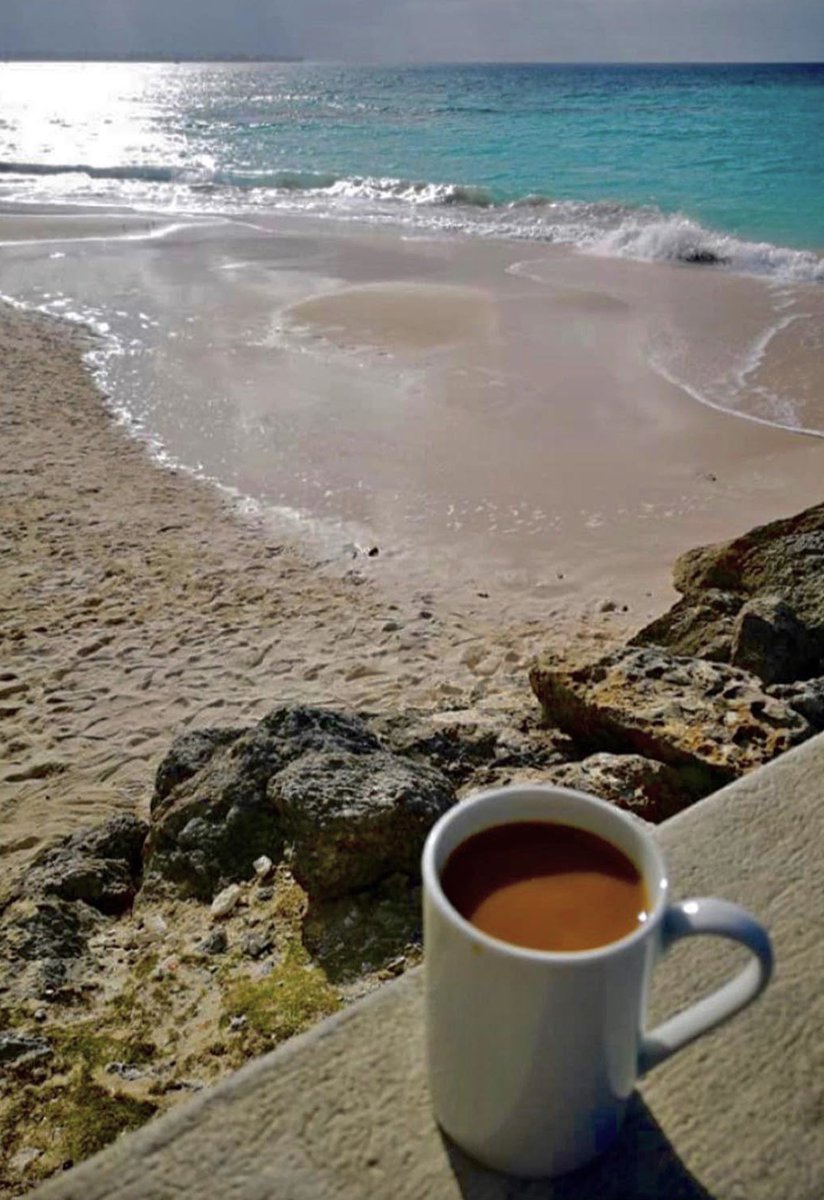 GilCasarez's tweet photo. โ๏ธ Friday vibes ๐
.
#goodmorning #fridayvibes #coffeetime #helloweekend https://t.co/opfSDonyvc