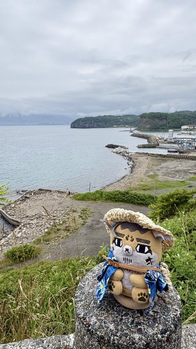 meg2009nami's tweet photo. 先日、小樽の貴賓館と鰊御殿に行ってきました。
生憎の雨でしたが、あじさい庭園が目的だったので、しっとりとした雰囲気がこれまた良し👍
昼食は勿論にしんそば。すっきり上品なお味で美味しかったです。
鰊御殿の中から見渡す海は絶景でした🌊
#フォゼ尾といっしょ https://t.co/QYCrAyjYre