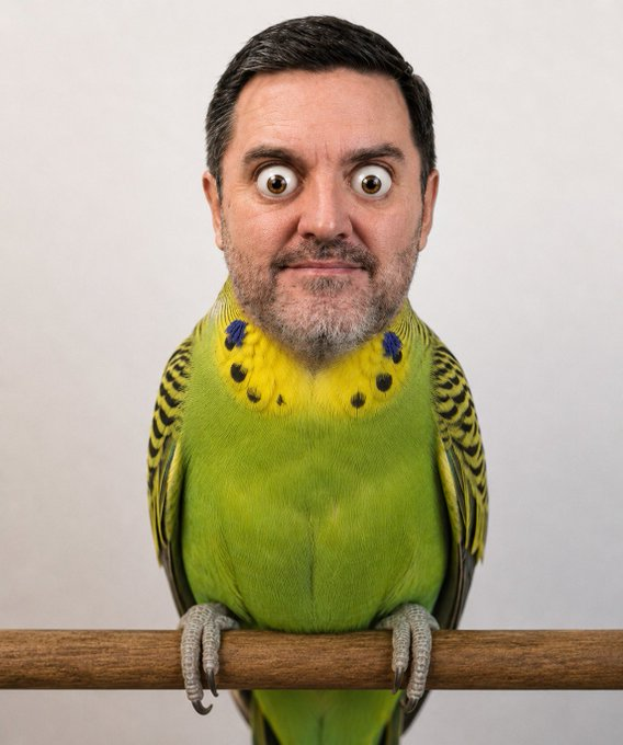 mac_lobo's tweet photo. @Maramensaje @FDoringCasar https://t.co/xMZRAFWFXs