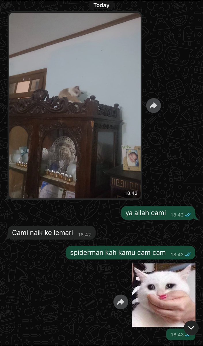 Elara tweet media