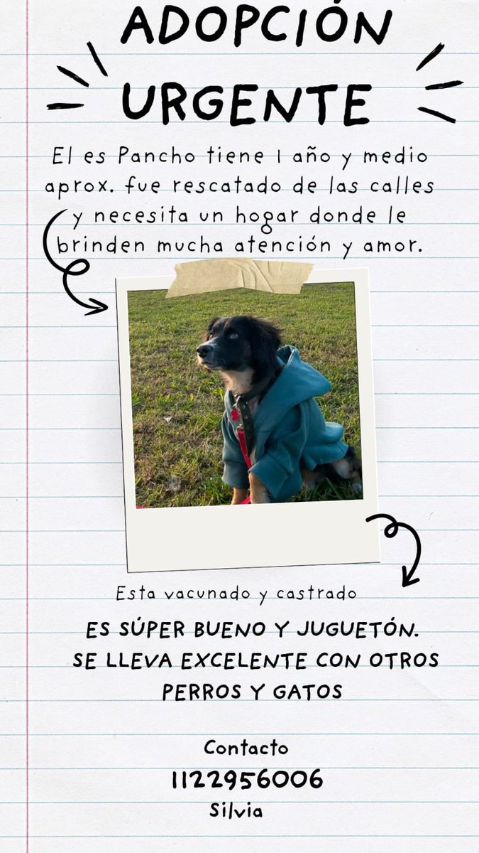 Puchi tweet media