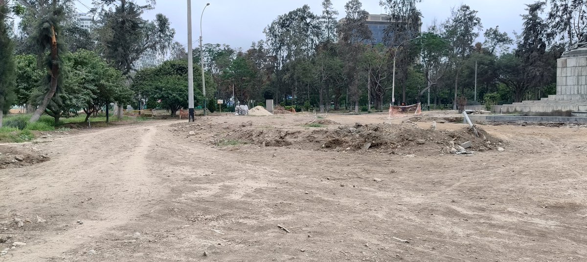 DeltaSperm84878's tweet photo. @OEFAperu @OEFAperu Vengan a Jesús María de una vez por todas. El supuesto pulmón de Lima protegido por ley se está muriendo frente a sus narices: ni aves, ni eucaliptos vivos quedan en el Campo de Marte. Actúen o dejen de simular que fiscalizan. #OEFA https://t.co/nWWI3tHvPR