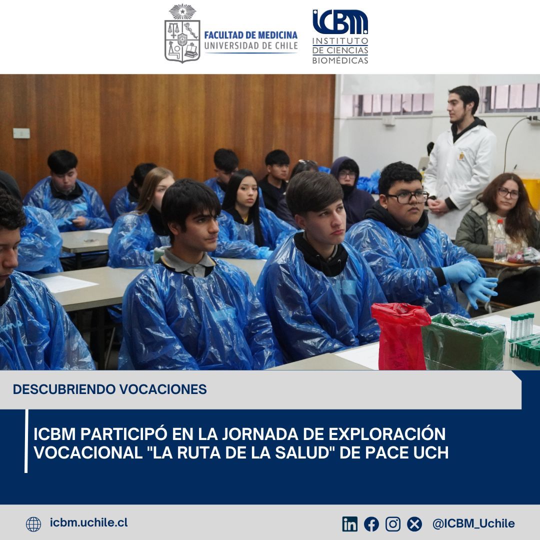 ICBM_UChile's tweet photo. Más de 200 estudiantes participaron en la Jornada de Exploración Vocacional #LaRutaDeLaSalud de #PACEUCH. 🧬

El ICBM fue parte de la iniciativa con cinco talleres interactivos que acercaron las ciencias biomédicas a través de experiencias prácticas. 
🔗 https://t.co/B8ePZyAUrE https://t.co/tJqf1jiGdI