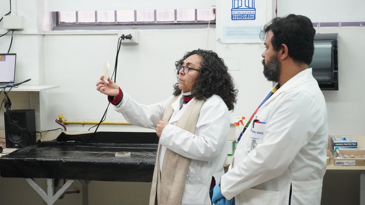 ICBM_UChile's tweet photo. Más de 200 estudiantes participaron en la Jornada de Exploración Vocacional #LaRutaDeLaSalud de #PACEUCH. 🧬

El ICBM fue parte de la iniciativa con cinco talleres interactivos que acercaron las ciencias biomédicas a través de experiencias prácticas. 
🔗 https://t.co/B8ePZyAUrE https://t.co/tJqf1jiGdI