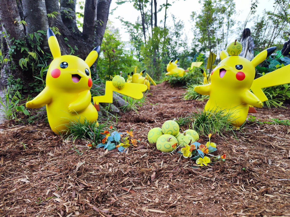 kimamaniuma's tweet photo. ポケパーク行ってきましたー
楽しかったー https://t.co/eb5Mdyoq2j