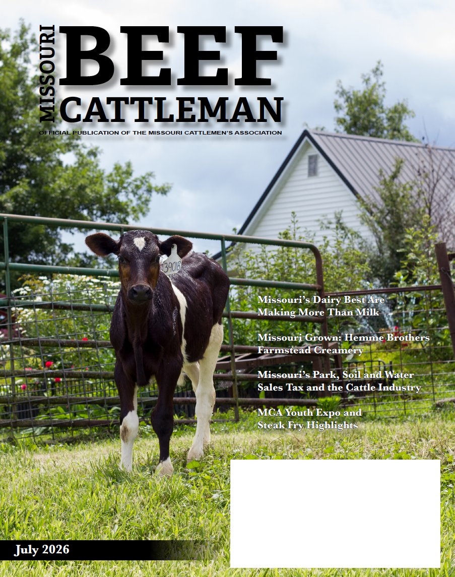 MoCattle's tweet photo. Missouri Beef Cattleman - July 2026

The July 2026 edition of Missouri Beef Cattleman - Annual Dairy Edition, is headed to mailboxes, featuring stories that highlight the innovation, tradition and people driving Missouri agriculture forward.

https://t.co/I4poqz8iae https://t.co/7u1jLUiHW4