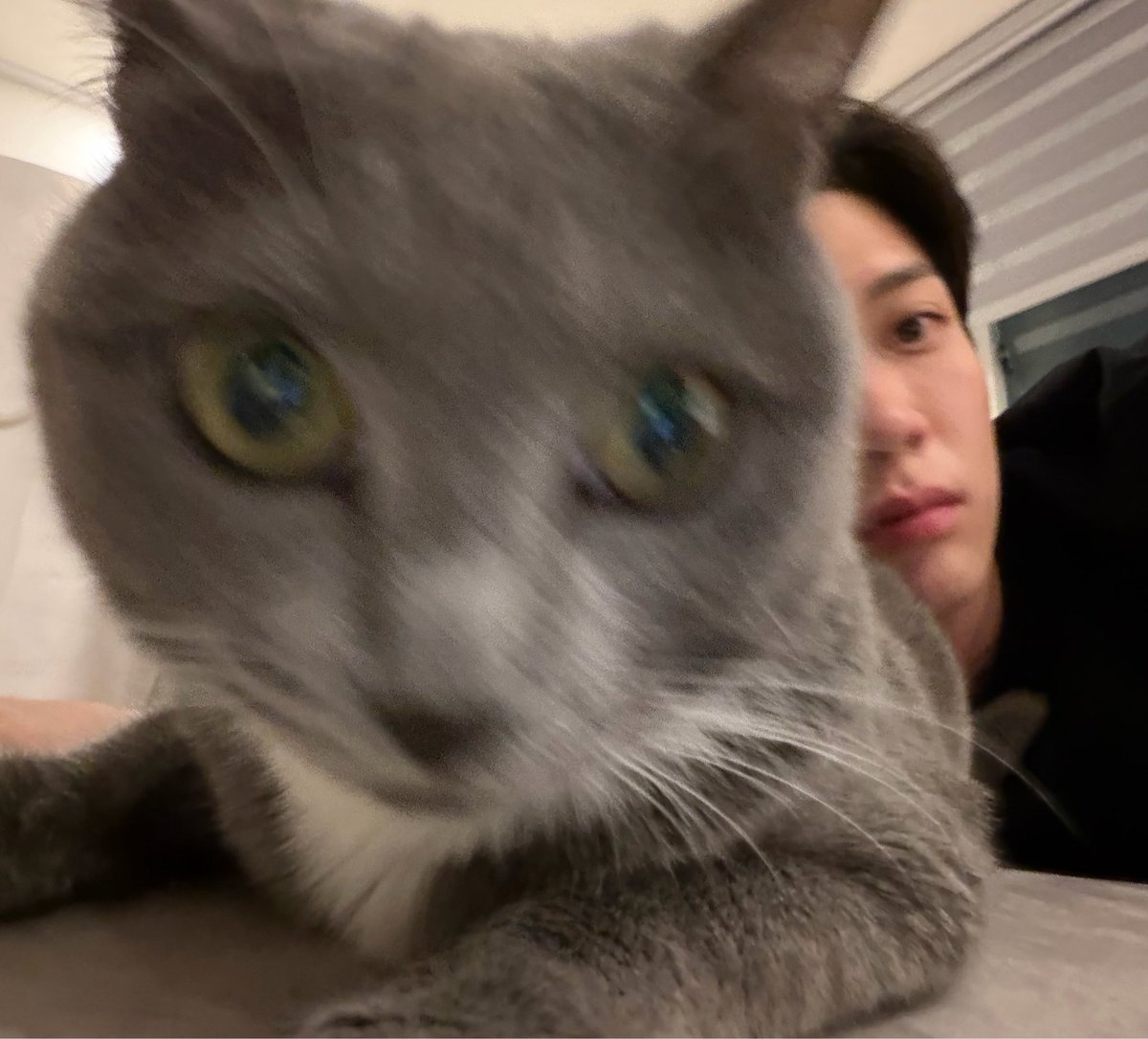 hajin_backup's tweet photo. i love him and his daughter https://t.co/VuznkyuBsu