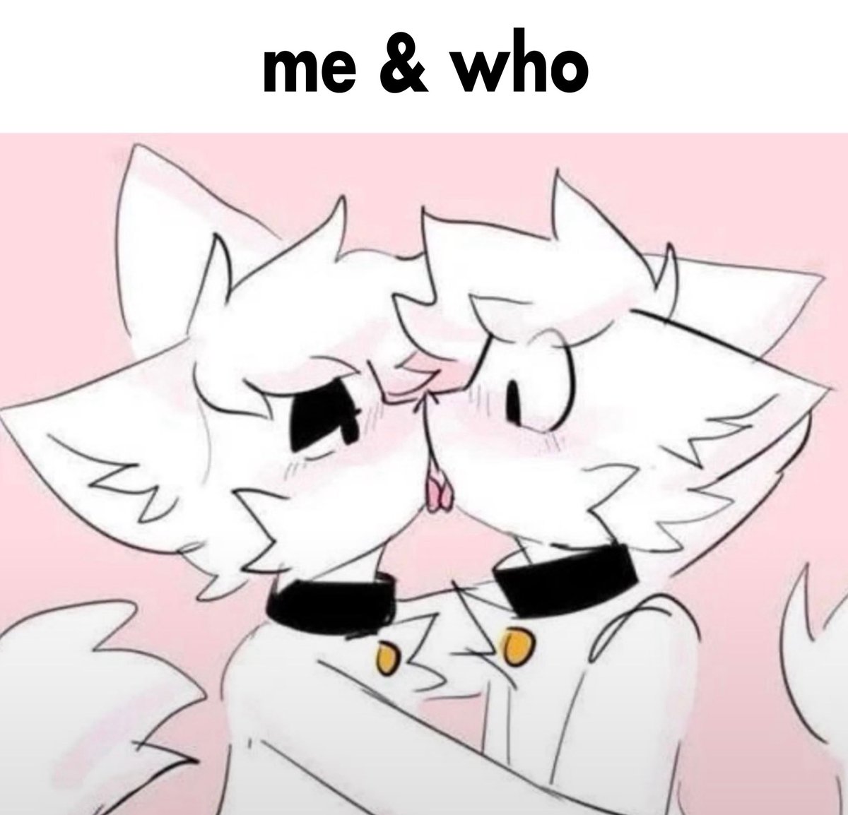 averypawss's tweet photo. https://t.co/50GP9VZwpm