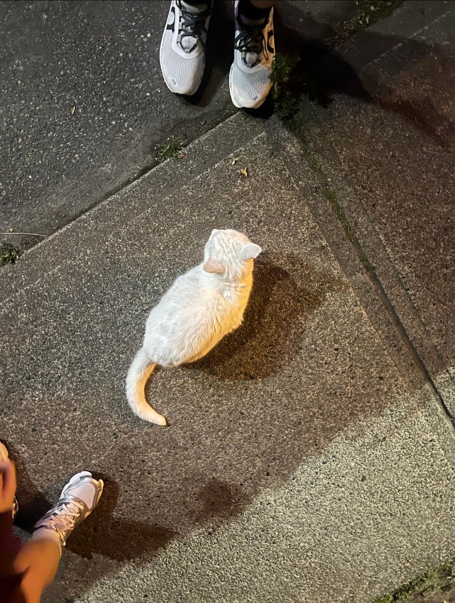 Mikhszyy's tweet photo. Tara jogging tas 1,2,3 go kanya kanya na https://t.co/ATnXCBEAve
