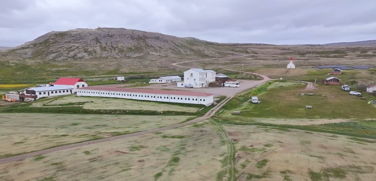pivettiladige's tweet photo. #Islanda, l'avamposto umano di #Breiðavík con vista sul #Circolopolareartico. Spiaggia oceanica, promontori disegnati col taglierino, nessuna vegetazione alta, praterie infinite e 46 km di strada sterrata e pietraie. Ma le #puffins sono qui...
#westiceland #westfjords #iceland https://t.co/hlfWDqhV3I