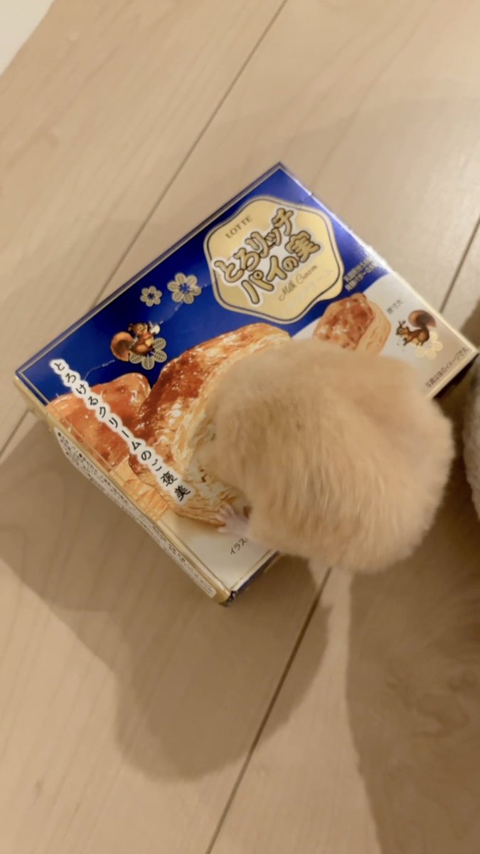 koronusi's tweet photo. このパイの実めちゃおいしかった https://t.co/KryjpX6a6H