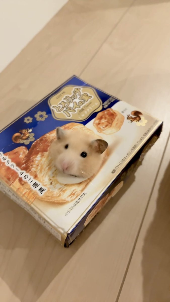 koronusi's tweet photo. このパイの実めちゃおいしかった https://t.co/KryjpX6a6H