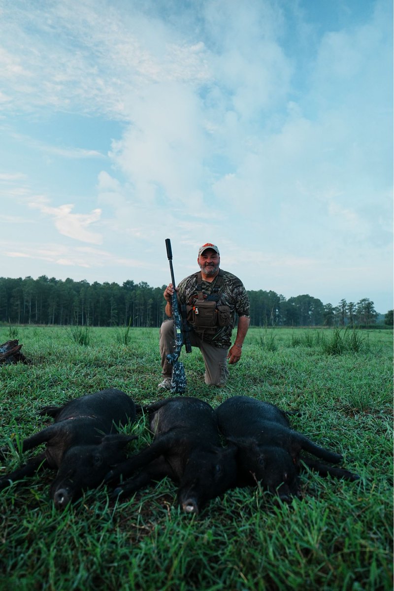 ralphandvicki's tweet photo. Fresh meat �� 🐗
#osceolaoutfitters #kempferwildgameprocessing #florida #thechoiceoutdoors https://t.co/pOYZATVl9T