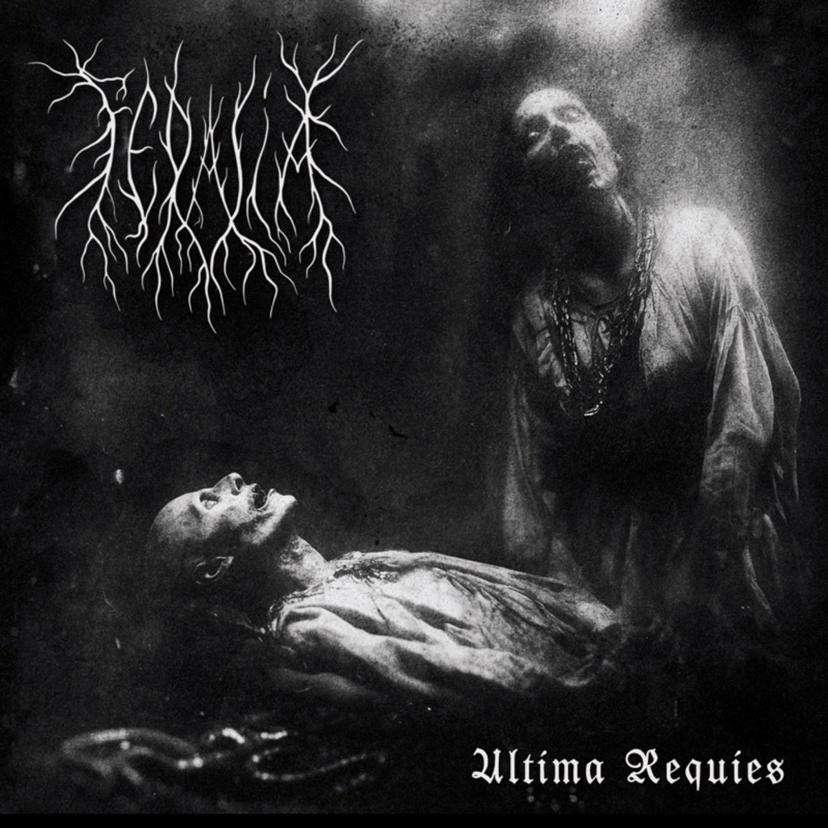 MusicExtreme's tweet photo. FERALIA RELEASE "ULTIMA REQUIES"
https://t.co/Vp3N97ic4W
#metal #headbang #mosh #metalhead #blackmetal
RT https://t.co/dr34Q6wCMj