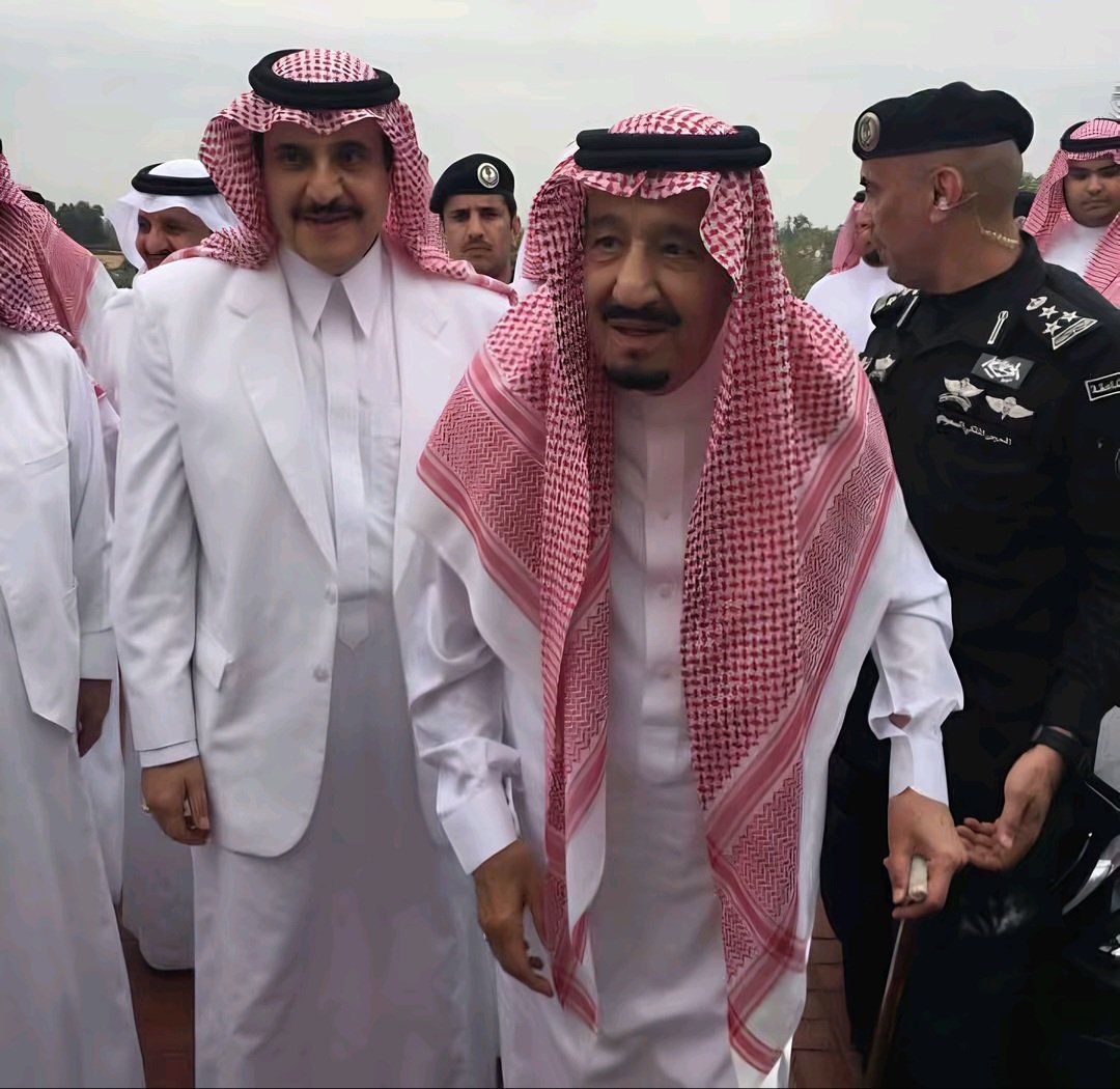 محمد سالم tweet media