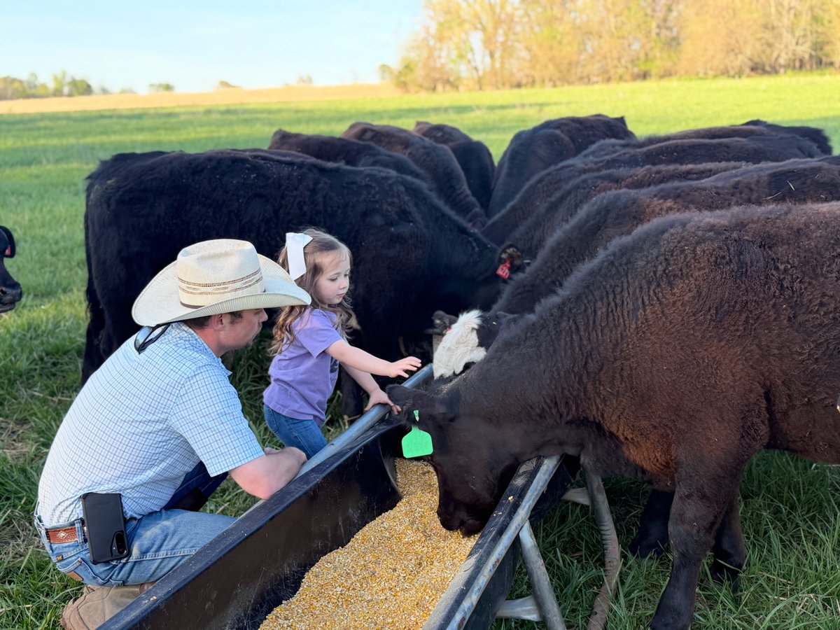 MoCattle's tweet photo. Meet Missouri Cattlemen's Association member and Region 7 Vice President, Nathan Isakson. Nathan operates a progressive cow-calf operation of commercial and registered Black Angus cattle in Lawrenceburg, MO.

To learn more about Nathan, https://t.co/7RTDEfwNfm https://t.co/YKSYMmF5qo