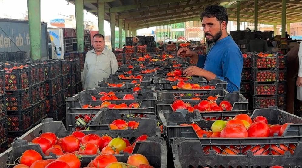 asiapost66's tweet photo. Due to the closure of trade routes with #Afghanistan , the prices of several essential food items in #Pakistan have reached record highs.

Currently, the price of one kilogram of #tomatoes in Pakistan has exceeded #PKR 500, and prices continue to rise day by day.

It is worth noting that in previous years, after Pakistan's domestic #tomato and #vegetable season ended, much of the country's demand was met through imports from #Afghanistan . 

However, following the suspension of trade with Afghanistan, #Pakistan has also experienced shortages of vegetables and significant #price increases, in addition to other economic #challenges .