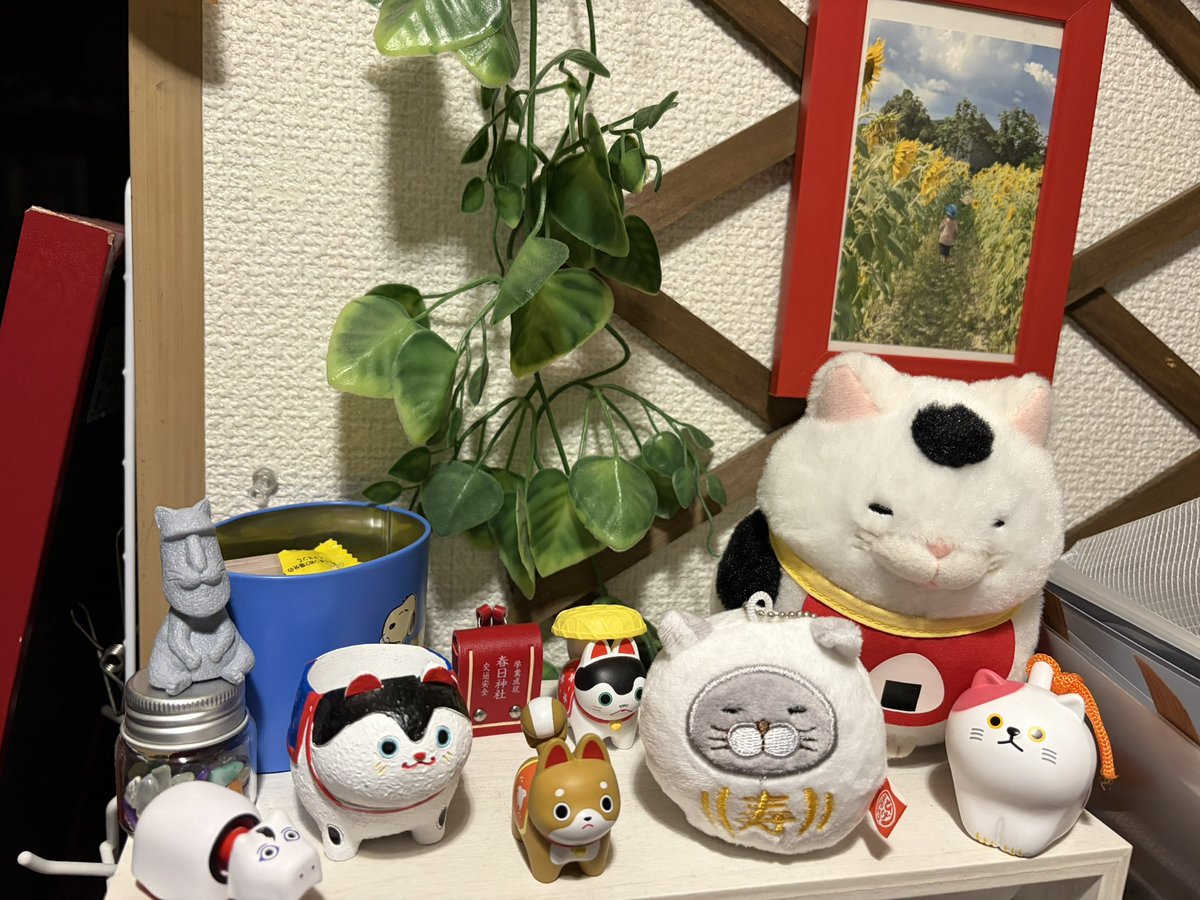 O tama = san (@zx2to5) / Posts / X