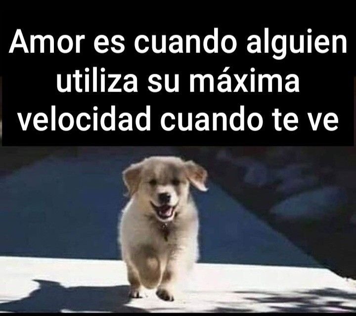rey_latino33087's tweet photo. https://t.co/uQNAeLAiOB