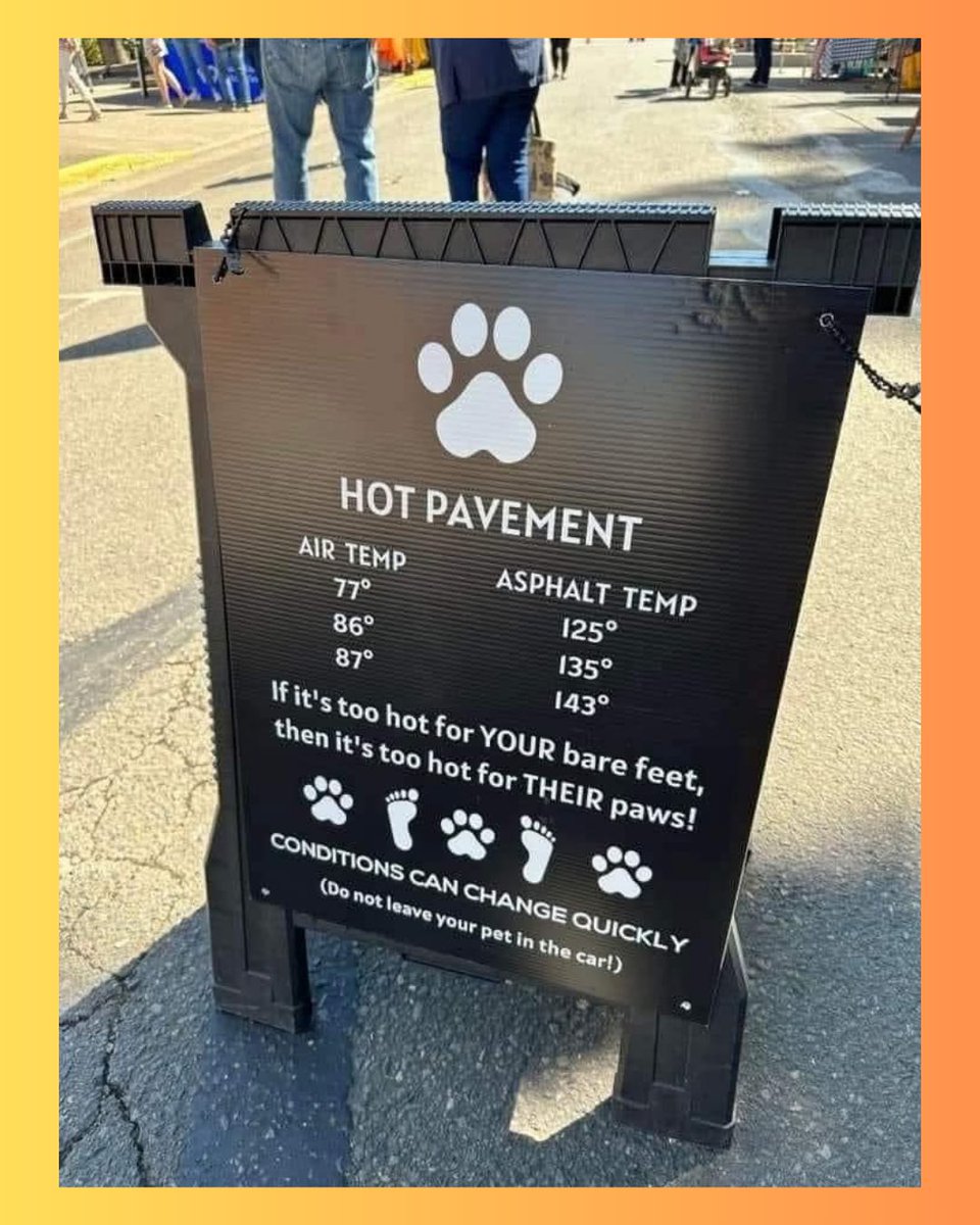TattleCat's tweet photo. Summer heat is rough on pets too. https://t.co/UjQNrqlV5a