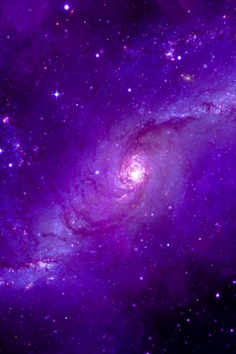 gardenofcolours's tweet photo. purple universe https://t.co/vRM28JW1vW