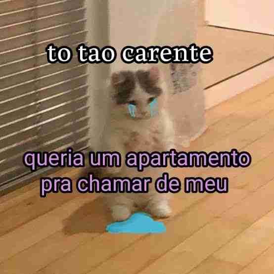 shitpostverdade's tweet photo. https://t.co/PeqCzC7bPi