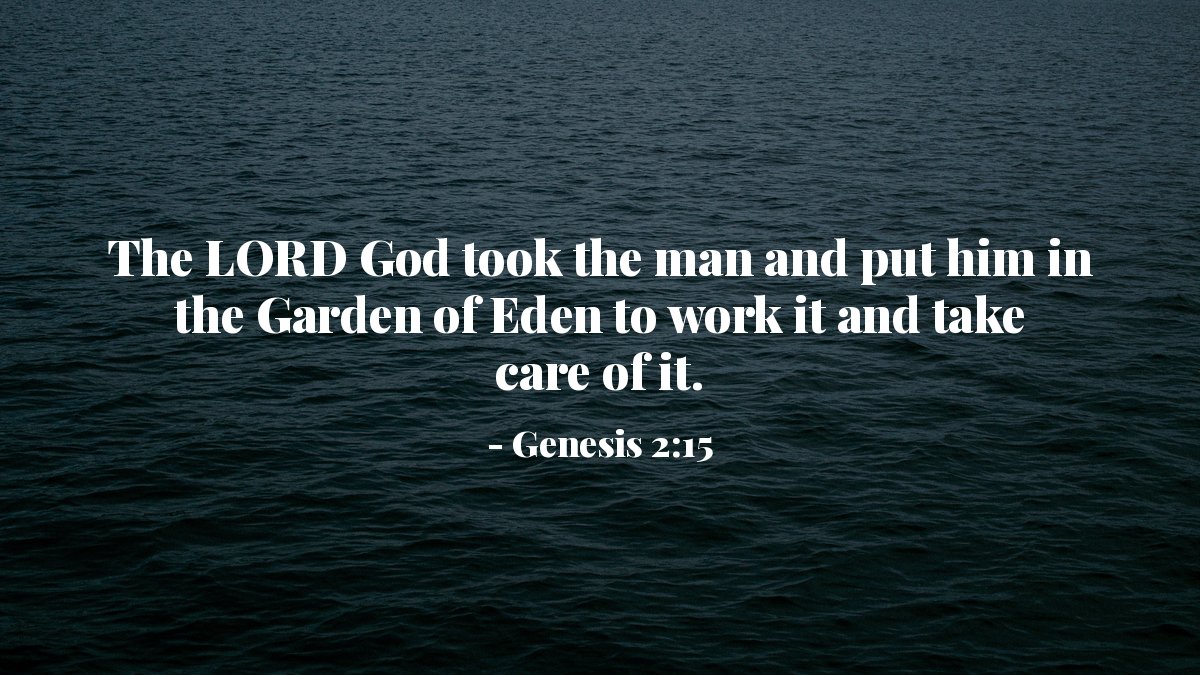 verse_each_day's tweet photo. The LORD God took the man and put him in the Garden of Eden to work it and take care of it. - Genesis 2:15 https://t.co/I9Sxx2KbSp