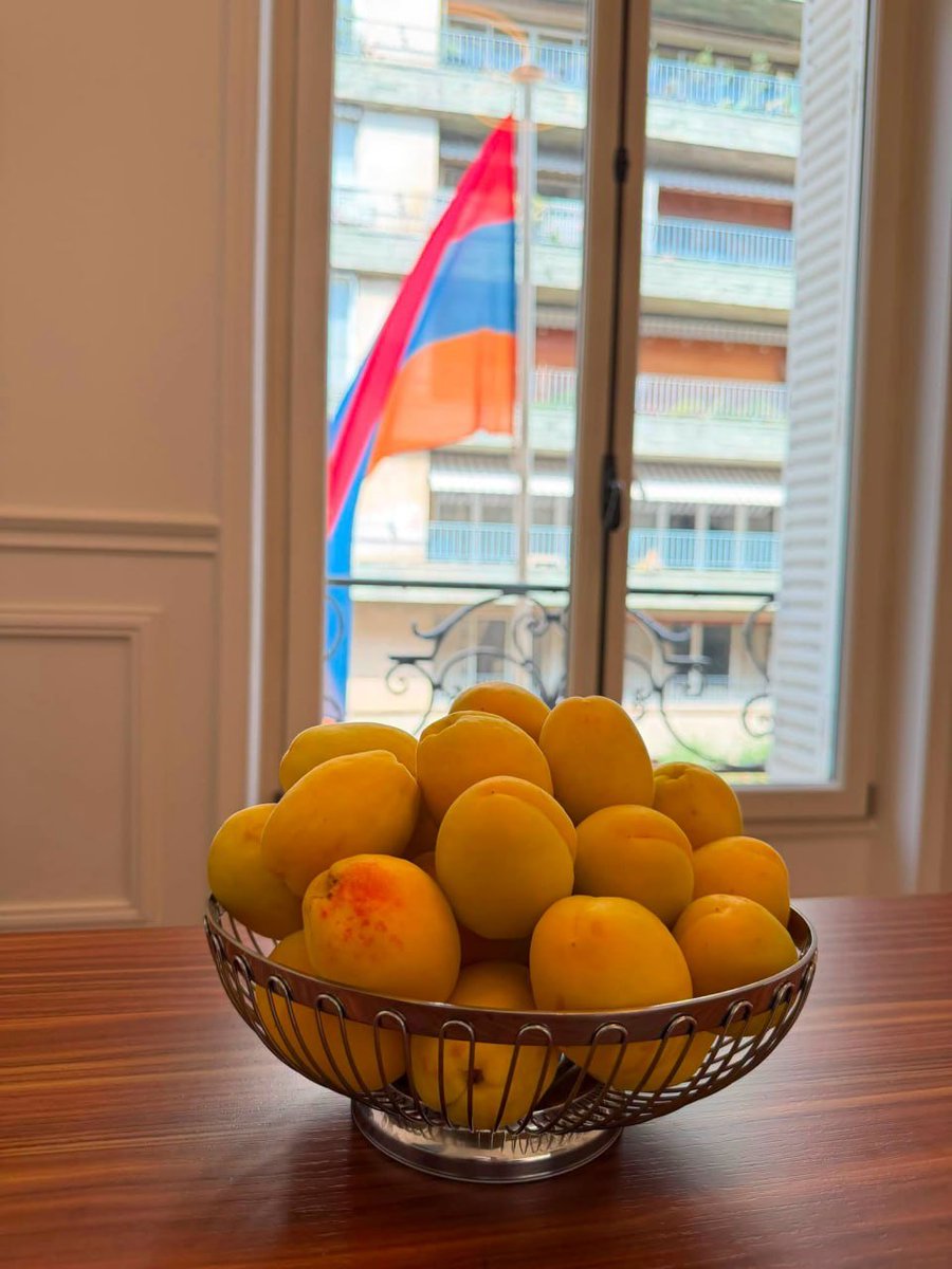 ArmenpressFR's tweet photo. Les abricots importés d’Arménie sont désormais disponibles dans plusieurs épiceries arméniennes de Paris et de sa région, annonce l’Ambassade d’Arménie en France. https://t.co/HHrkt7Tk5h