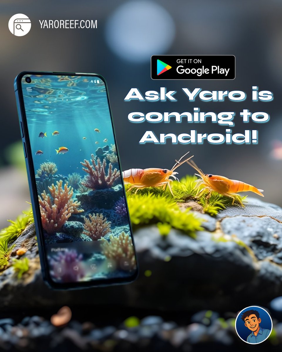 YaroReef's tweet photo. Android users: Yaro is here — but not for everyone yet.

It’s now available in closed testing on Google Play. For now, only people who register with us and get approved can download it.

If you can’t wait to have Yaro on your phone, head over to https://t.co/NaojECj9qh and request your access.

More news coming soon 👀

#androidapp #googleplay #appbeta #reeftechnology #askyaro
