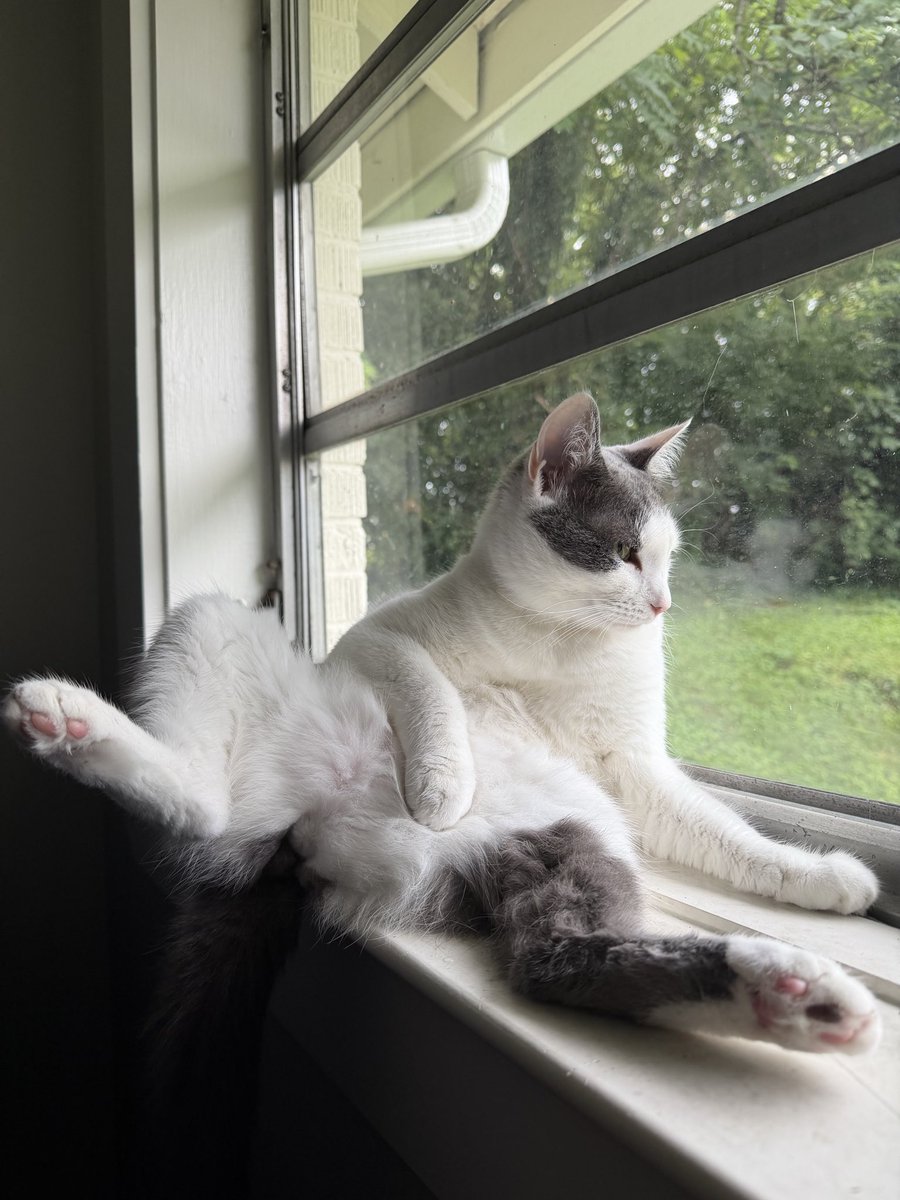 ChazHatesElon's tweet photo. Hey I’m glad you’re comfortable and all but can you please not sit like that https://t.co/SmoClnGh4L