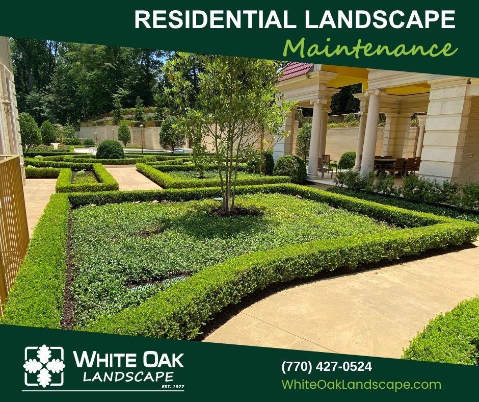 WhiteOak_LS's tweet photo. Residential Landscape Maintenance
https://t.co/vfsR4NJk3n
White Oak Landscape is a landscape company providing award-winning landscaping design and installation, landscape lighting, irrigation systems, retaining walls, hardscapes, water features and stonework in Atlanta, Georgia. https://t.co/IejhgQfnTL