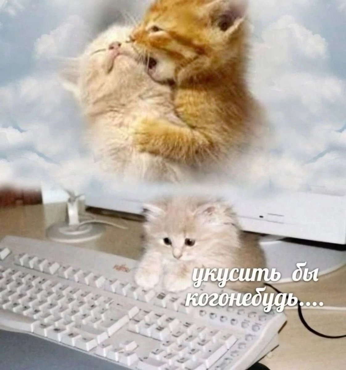 ptnhlo4vr tweet picture