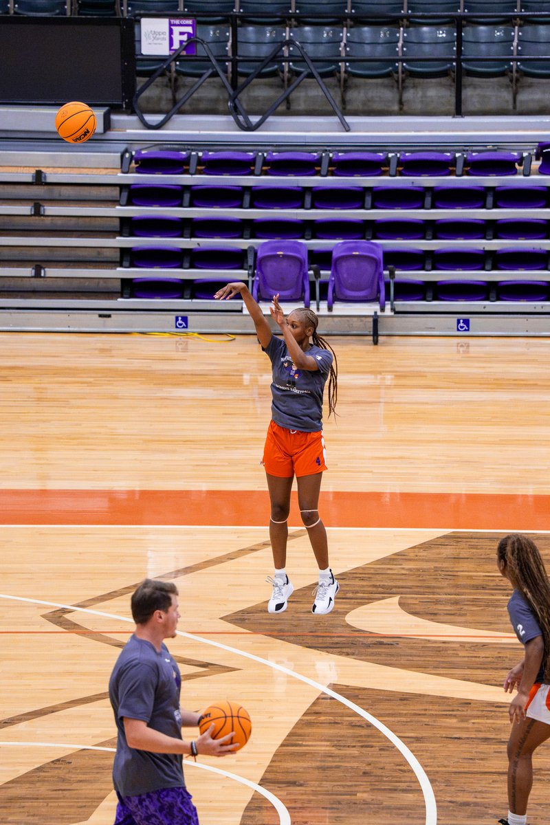 NSU Women's Basketball tweet media