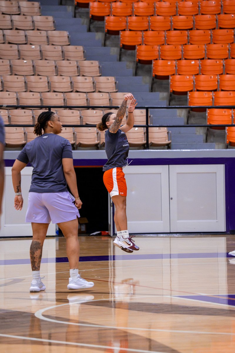 NSU Women's Basketball tweet media