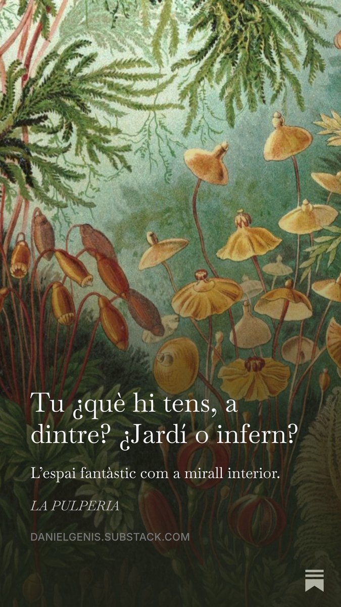 danielgenis's tweet photo. Avui al blog em vesteixo d'agent immobiliari weird i us serveixo un articlet sobre espais fantàstics. Jardins, cases i portes. Passeu i vegeu el piset #lapulperia
https://t.co/Yq8nnCeBHW https://t.co/ousFfK48eL